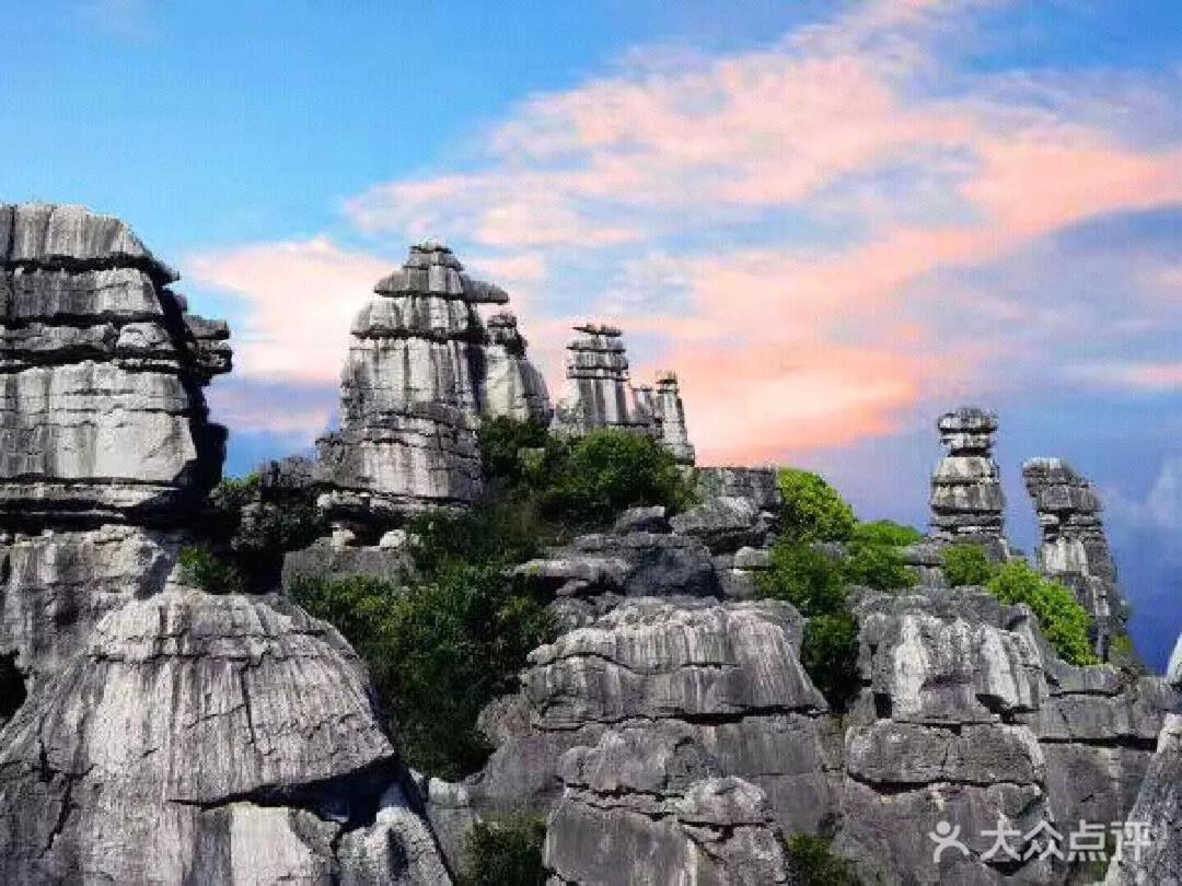 Stone Forest Mijia Guest House Shilin Экстерьер фото