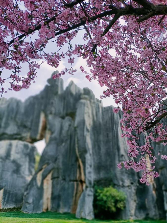 Stone Forest Mijia Guest House Shilin Экстерьер фото