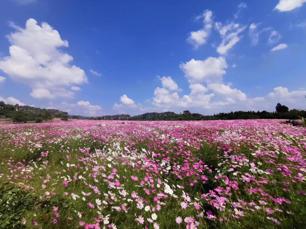 Stone Forest Mijia Guest House Shilin Экстерьер фото